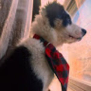 Meet your Posher, Jesse